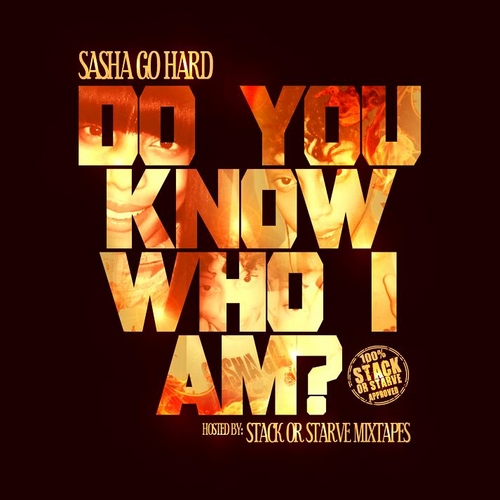 Sasha Go Hard - Do You Know Who I Am?